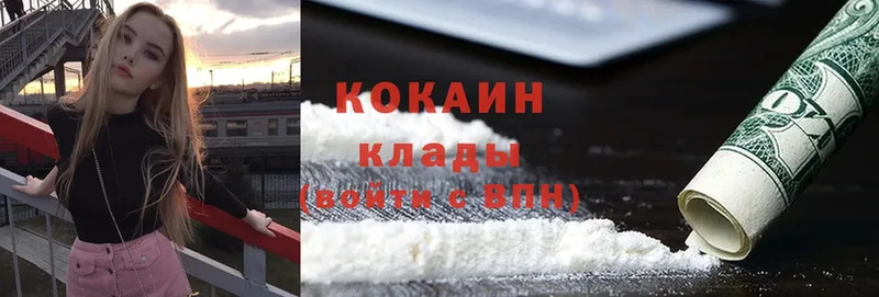 Cocaine Fish Scale  купить наркотики цена  Елец 