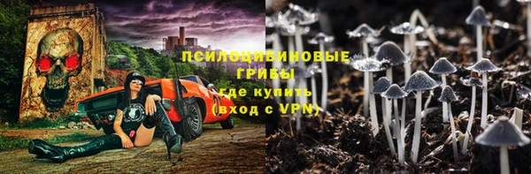 прущая мука Богданович